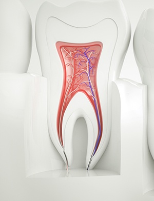 Animation of the inside of a tooth