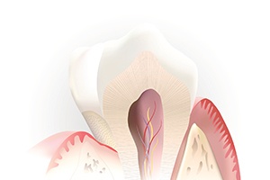 Animation of tooth pulp and nerves